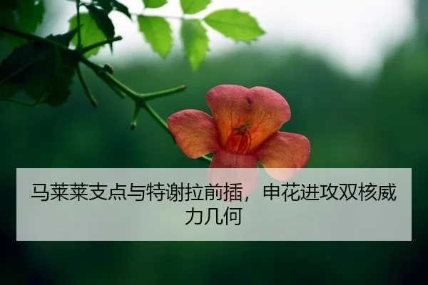 ma-lai-lai-zhi-dian-yu-te-xie-la-qian-cha-shen-hua-jin-gong-shuang-he-wei-li-ji-he-2-933.jpg