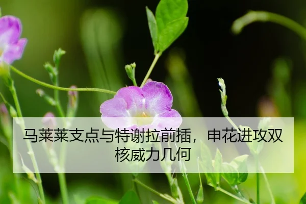 ma-lai-lai-zhi-dian-yu-te-xie-la-qian-cha-shen-hua-jin-gong-shuang-he-wei-li-ji-he-3-405.jpg
