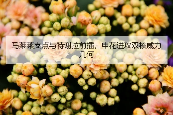 马莱莱支点与特谢拉前插，申花进攻双核威力几何