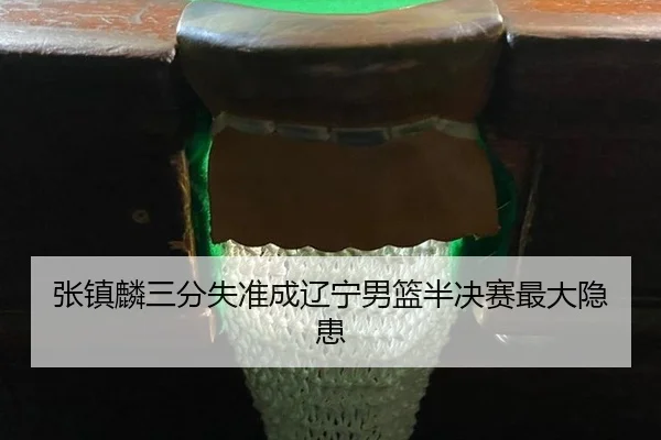 zhang-zhen-lin-san-fen-shi-zhun-cheng-liao-ning-nan-lan-ban-jue-sai-zui-da-yin-huan-2-265.jpg
