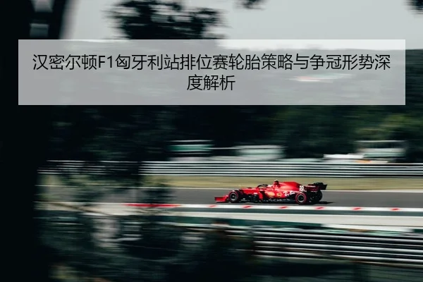 han-mi-er-dun-xiong-ya-li-zhan-pai-wei-sai-lun-tai-ce-lve-yu-zheng-guan-xing-shi-shen-du-jie-xi-2-619.jpg