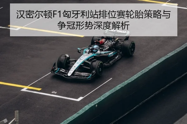 han-mi-er-dun-xiong-ya-li-zhan-pai-wei-sai-lun-tai-ce-lve-yu-zheng-guan-xing-shi-shen-du-jie-xi-3-998.jpg