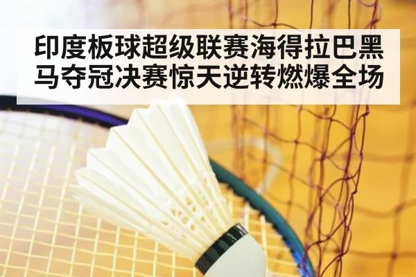 印度板球超级联赛海得拉巴黑马夺冠决赛惊天逆转燃爆全场